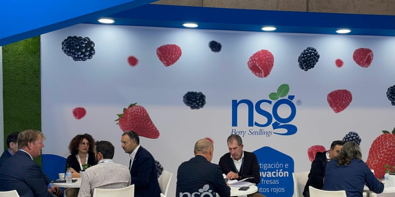 Nova Siri Genetics impulsa su crecimiento internacional para expandir sus variedades de fresas a nuevos países tras su éxito en Fruit Atraction